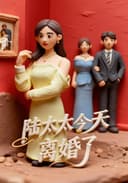 陆太太今天离婚了